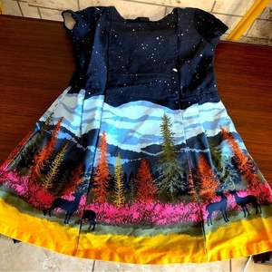 Oshkosh‎ nature dress 2T